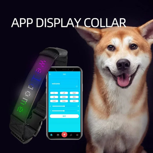 LED Display Pet Collar App Control