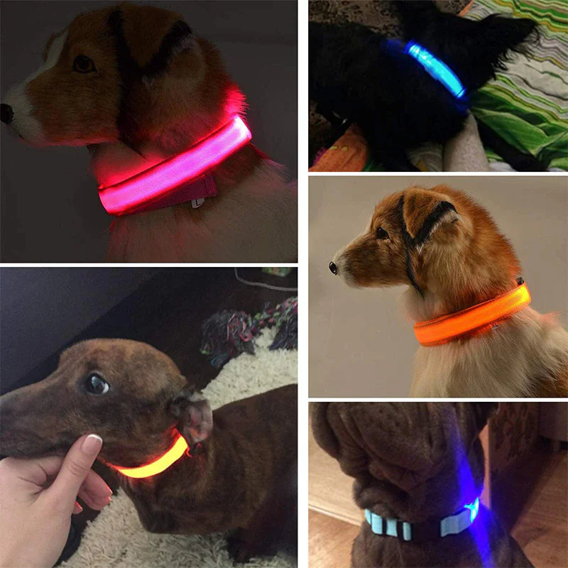 Adjustable LED Waterproof Dog Collar (Blinking Light for Enhanced Pet Safety)