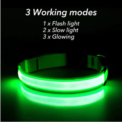 Adjustable LED Waterproof Dog Collar (Blinking Light for Enhanced Pet Safety)