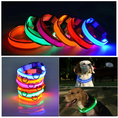 Adjustable LED Waterproof Dog Collar (Blinking Light for Enhanced Pet Safety)